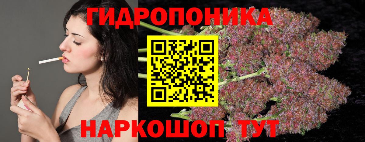 Бошки Шишки индика  МАРИХУАНА гибрид  Уварово  Вход с VPN  Марихуана индика  Бошки марихуана сатива 